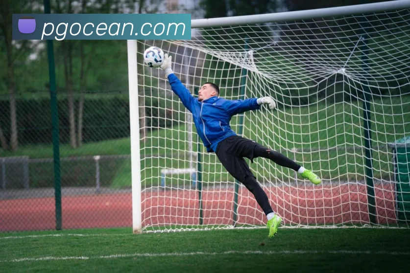 pg电子APP 封面图